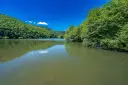 DSC00639