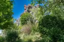 DSC00806