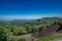 DSC00650