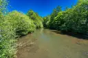 DSC00638