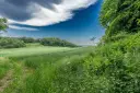 DSC00734